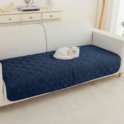 Chat blanc allongé sur une protection canapé chat bleu pour canapé beige dans un salon moderne
