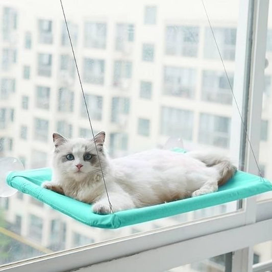 Chat blanc apaisé sur un hamac pour chats, regardant l'intérieur de la maison