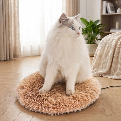 chat blanc assis sur un coussin chauffant pour chat