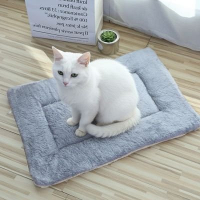 Chat entièrement blanc aux yeux verts est assis sur un tapis chat en peluche rectangulaire de couleur grise