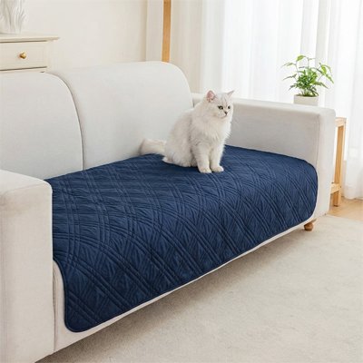 Chat blanc assis sur une protection canapé chat bleu pour canapé beige dans un salon moderne