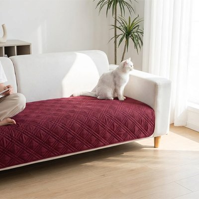 Chat blanc assis sur une protection canapé chat rouge matelassé posée sur l'assise d'un canapé blanc.