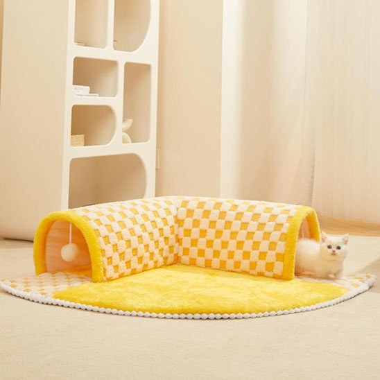 Chat blanc dans un tunnel du chat