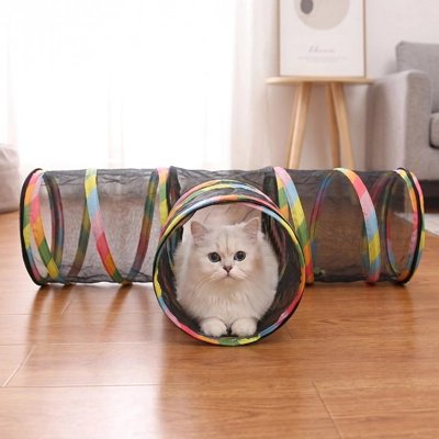 Chat blanc dans un tunnel pour chat