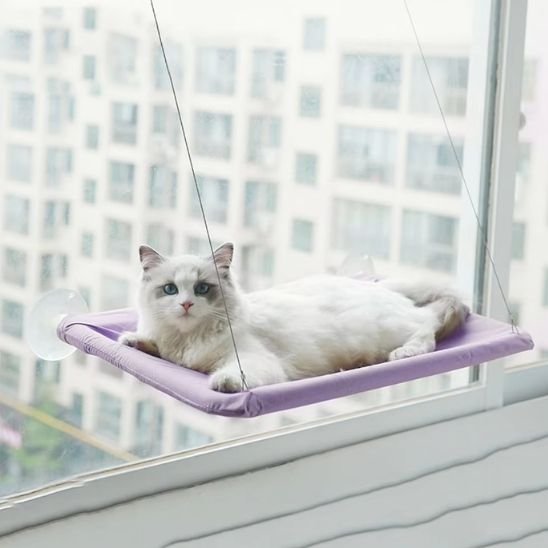 Chat blanc détendu sur un hamac pour chats, observant l’intérieur de la maison.