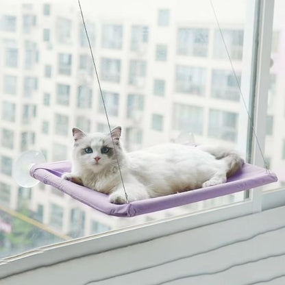 Chat blanc détendu sur un hamac pour chats, observant l’intérieur de la maison.