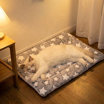 Chat blanc dormant sur un grand tapis chat de couleur gris à étoiles