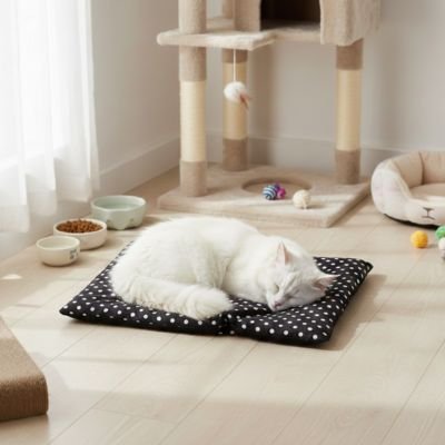 Chat blanc dort paisiblement sur un tapis pour chat dans un salon ensoleillé