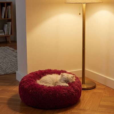 Chat Blanc endormi dans son Coussin Chat de couleur rouge