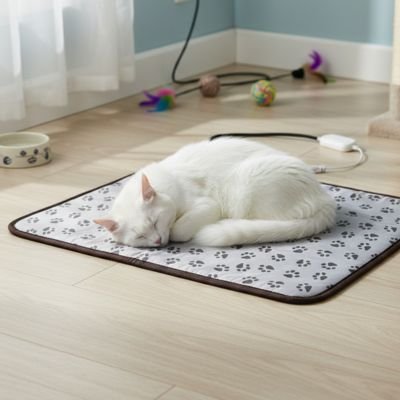 Chat blanc endormi sur un tapis pour chat dans un salon lumineux