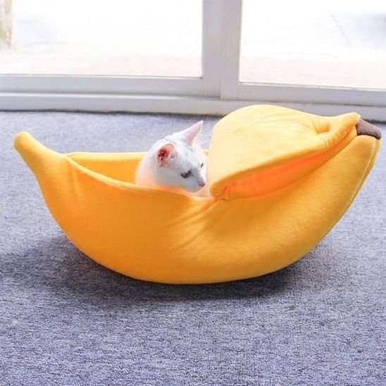 Chat blanc est assis dans un Panier pour chat en forme de banane jaune