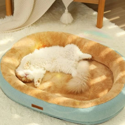 Chat blanc et crème allongé sur le dos, profondément endormi dans un coussin à chat