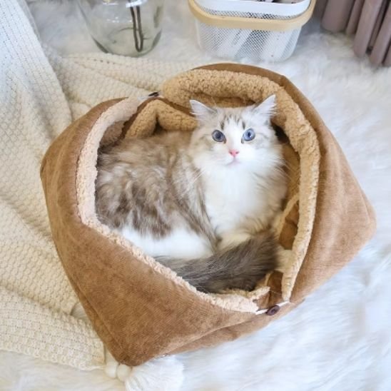 Chat blanc et gris allongé  calmement dans un panier pour chat de couleur brune
