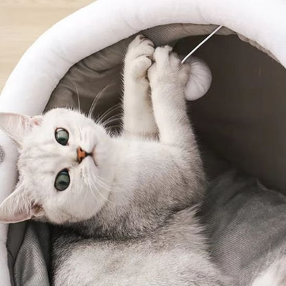 Chat blanc et gris joue avec un petit pompon blanc suspendu du son panier pour chat