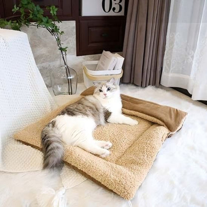 Chat blanc et gris est allongé calmement sur un panier pour chat