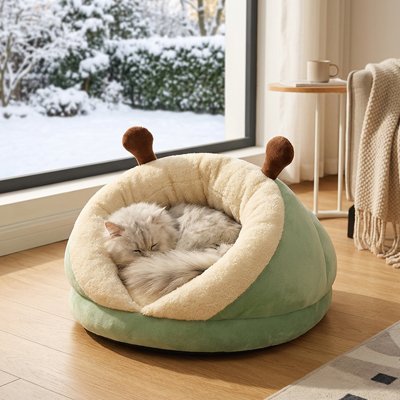 Chat blanc et gris dort paisiblement dans un lit chat en peluche vert 