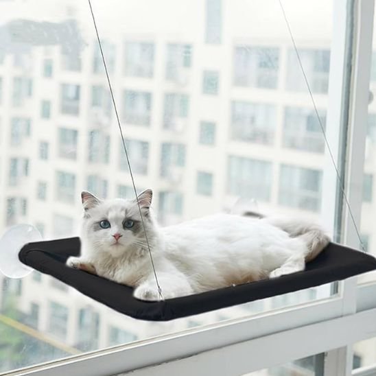 Chat blanc calme installé sur un hamac fenetre chat 
