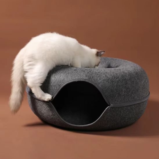 Chat blanc jouant dans un lit chat circulaire en feutre gris