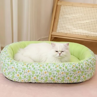 Chat blanc se repose paisiblement dans un coussin pour chat 