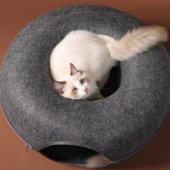 Chat blanc se repose dans un lit chat circulaire en feutre gris
