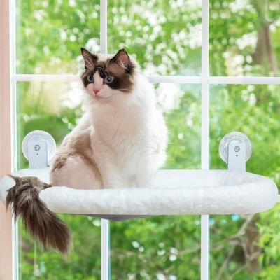 chat calme sur un hamac pour chat fenetre avec un jardin verdoyant en arrière-plan