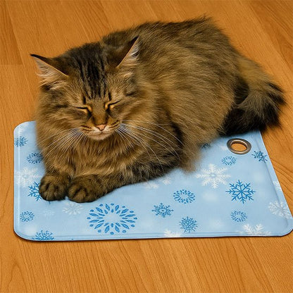 Un chat calme et apaisé sur un tapis rafraichissant Chat