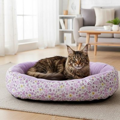 Chat Maine Coon à poil long est confortablement couché dans un coussin pour chat