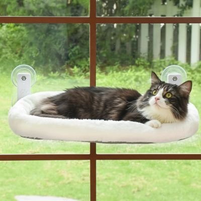 Chat  allongé confortablement sur un hamac pour chat fenetre, observant l’intérieur de la maison