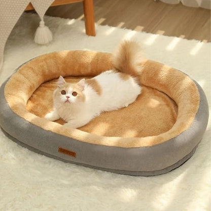 Chat crème et blanc apaisé  dans un coussin à chat en forme ovale
