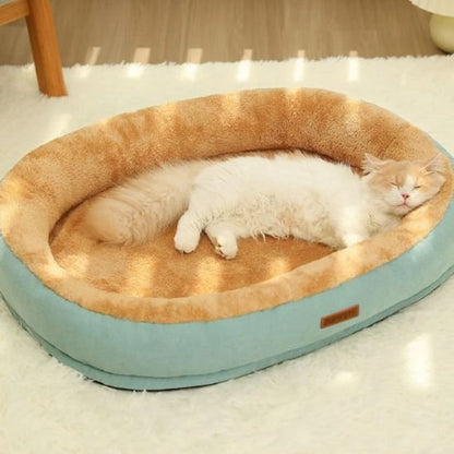  Chat crème et blanc profondément endormi dans un coussin à chat en forme ovale