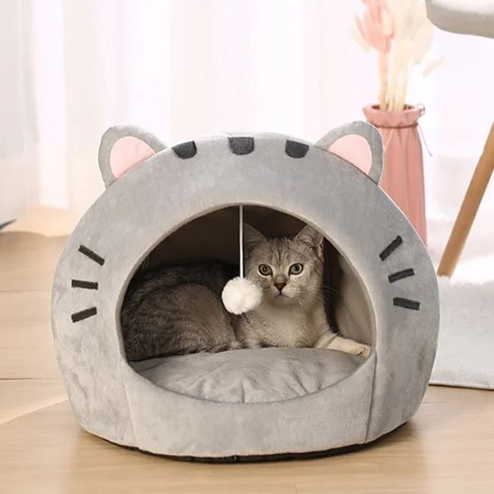 chat dans une niche chat