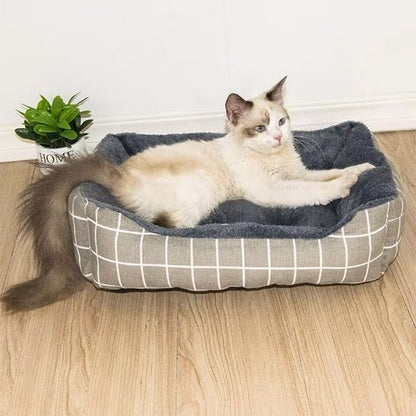 Chat de couleur crème et gris confortablement allongé dans un panier chat rectangulaire