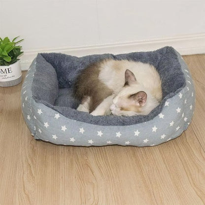 Chat de couleur crème et gris endormis dans un panier chat rectangulaire