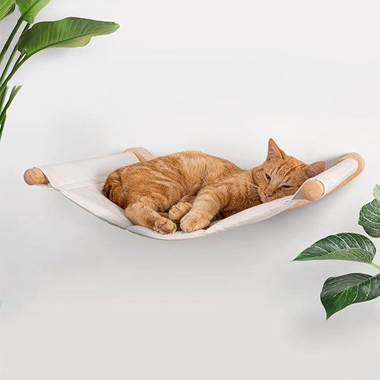  Chat détendu allongé sur un hamac chat, profitant d’un moment de repos confortable