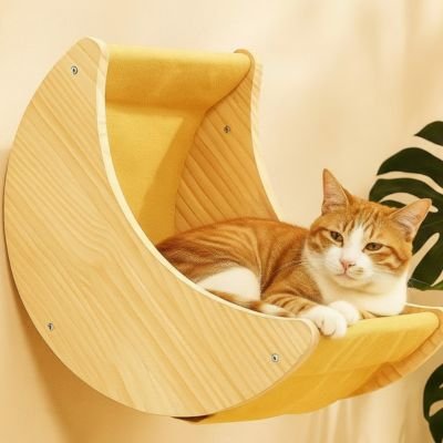 Chat détendu dans un hamac chat, installé sur un mur clair.