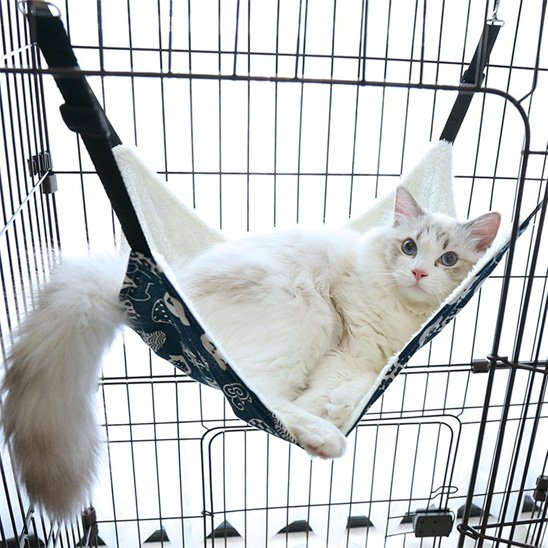 Chat détendu sur un hamac pour chat, profitant d’un moment de repos confortable 