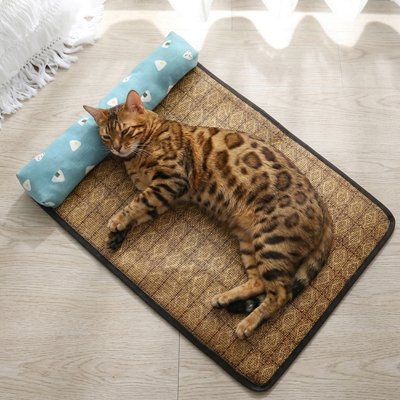 Chat Détendu et allongé sur un tapis rafraichissant chat