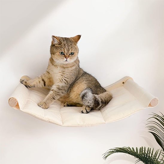 Chat en position de surveillance sur un hamac chat