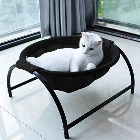 Chat en position de surveillance sur un hamac chat 