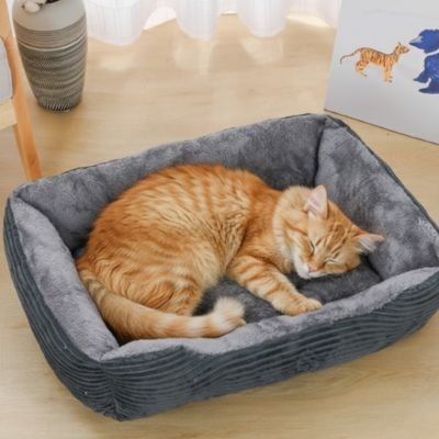 Chat endormi dans un coussin à chat gris
