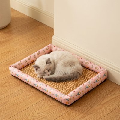 Chat endormi paisiblement sur son tapis rafraichissant chat