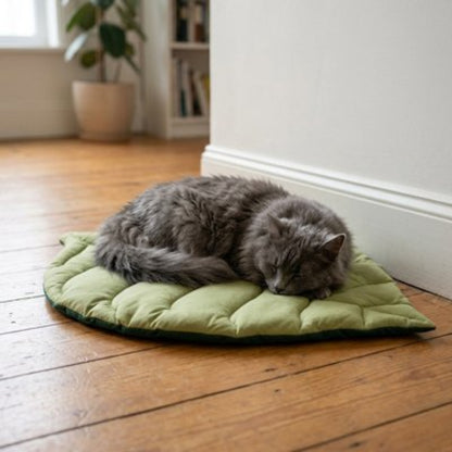 Chat endormi sur un tapis chat