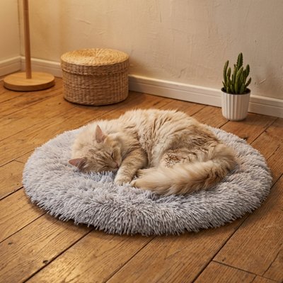 Chat endormi sur un tapis pour chat dans un salon