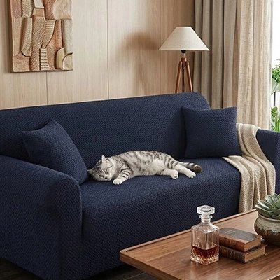 Chat endormi sur une housse canapé chat bleue