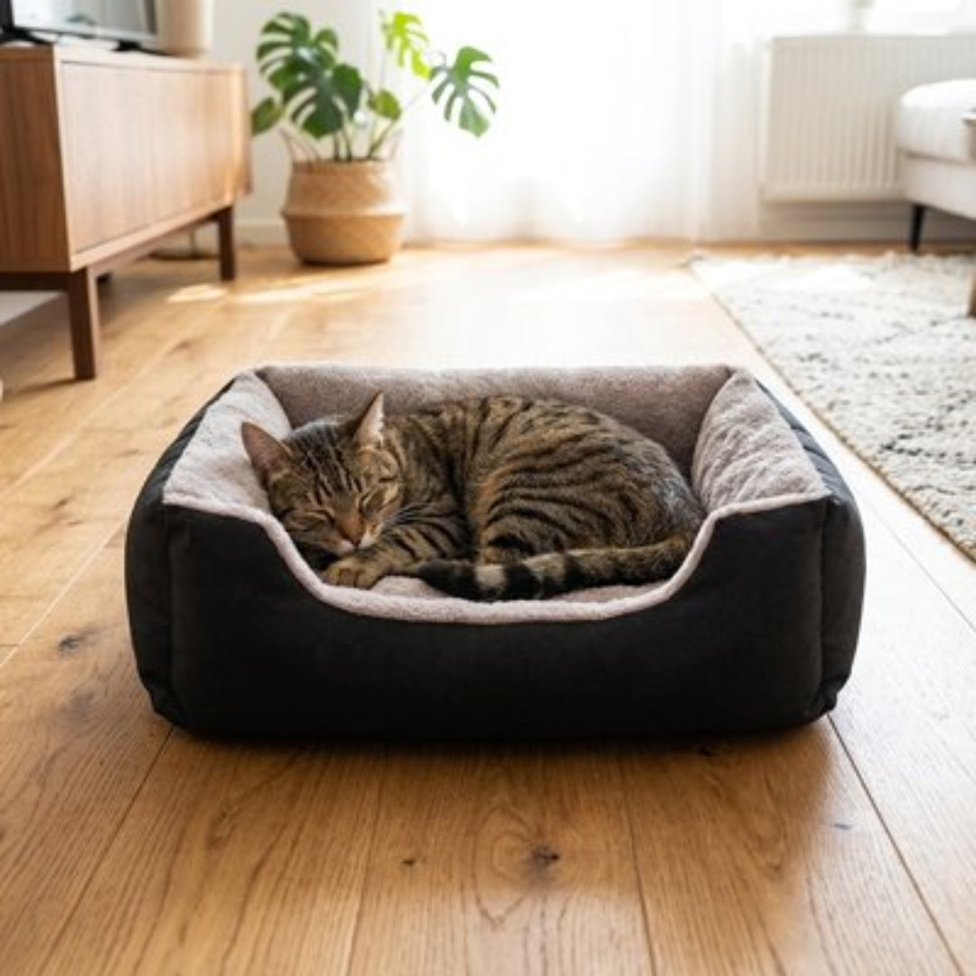 Chat endormis dans un panier pour chat 