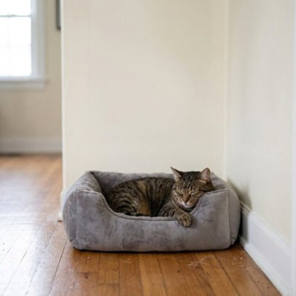 Chat endormis dans un panier pour chat 