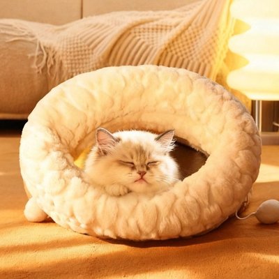 Chat endormis paisiblement dans un lit chaton, ambiance lumineuse