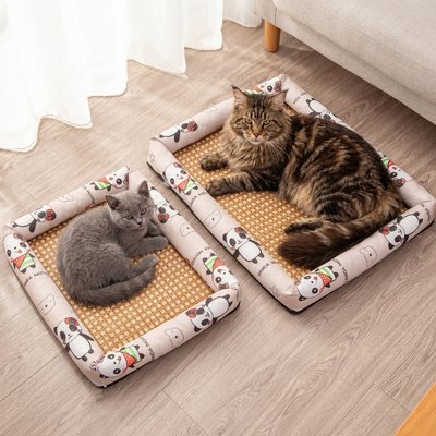 Un chaton gris est couché sur le petit tapis rafraichissant Chat et un grand chat Maine Coon sur le grand modèle de tapis rafraichissant chat