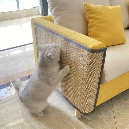Un chat blanc et gris fait ses griffes sur un protege canape chat beige fixé sur le flanc d'un accoudoir de canapé jaune
