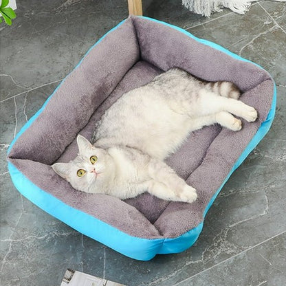 Chat gris et blanc allongé paisiblement dans un panier chat gris avec bordure bleue